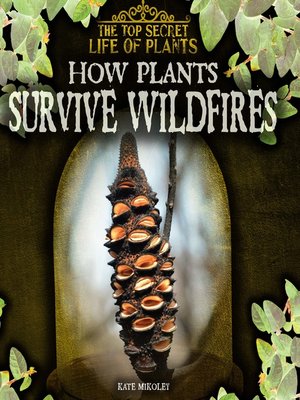 cover image of How Plants Survive Wildfires